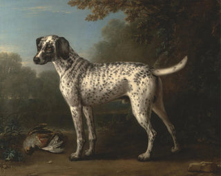 John Wootton - A Grey Spotted Hound.webp
