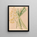 Iconographie der Orchideen Brasiliens Pl05 - João Barbosa Rodrigues — gerahmtes Bild an der Wand