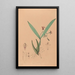 Iconographie der Orchideen Brasiliens Pl09 - João Barbosa Rodrigues — gerahmtes Bild an der Wand