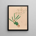 Iconographie der Orchideen Brasiliens Pl10 - João Barbosa Rodrigues — gerahmtes Bild an der Wand