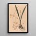 Iconographie der Orchideen Brasiliens Pl11 - João Barbosa Rodrigues — gerahmtes Bild an der Wand