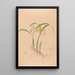 Iconographie der Orchideen Brasiliens Pl16 - João Barbosa Rodrigues — gerahmtes Bild an der Wand