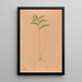 Iconographie der Orchideen Brasiliens Pl17 - João Barbosa Rodrigues — gerahmtes Bild an der Wand