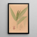 Iconographie der Orchideen Brasiliens Pl20 - João Barbosa Rodrigues — gerahmtes Bild an der Wand