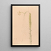 Iconographie der Orchideen Brasiliens Pl22 - João Barbosa Rodrigues — gerahmtes Bild an der Wand