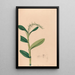 Iconographie der Orchideen Brasiliens Pl23 - João Barbosa Rodrigues — gerahmtes Bild an der Wand