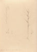 Iconographie der Orchideen Brasiliens Pl24 - João Barbosa Rodrigues — Ansicht des Kunstwerks