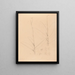 Iconographie der Orchideen Brasiliens Pl25 - João Barbosa Rodrigues — gerahmtes Bild an der Wand