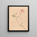 Iconographie der Orchideen Brasiliens Pl28 - João Barbosa Rodrigues — gerahmtes Bild an der Wand