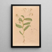 Iconographie der Orchideen Brasiliens Pl33 - João Barbosa Rodrigues — gerahmtes Bild an der Wand