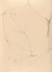 Iconographie der Orchideen Brasiliens Pl41 - João Barbosa Rodrigues — Ansicht des Kunstwerks
