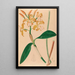 Iconographie der Orchideen Brasiliens Pl46 - João Barbosa Rodrigues — gerahmtes Bild an der Wand