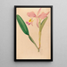 Iconographie der Orchideen Brasiliens Pl49 - João Barbosa Rodrigues — gerahmtes Bild an der Wand