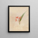 Iconographie der Orchideen Brasiliens Pl61 - João Barbosa Rodrigues — gerahmtes Bild an der Wand