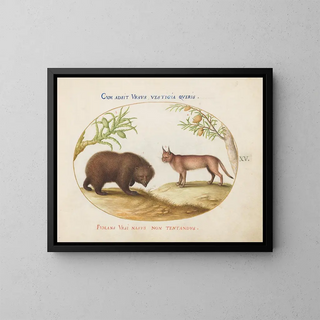 Joris Hoefnagel - A Bear and a Lynx.webp