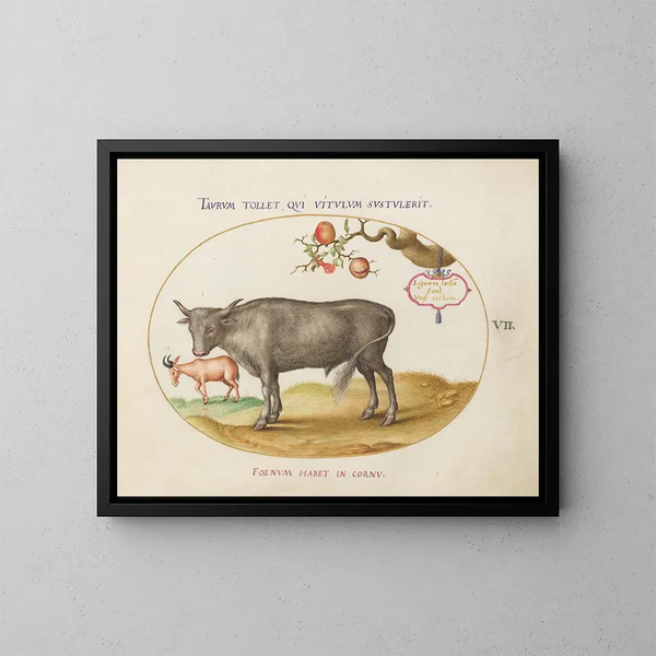 eines Stiers und eines Horntieres - Joris Hoefnagel — gerahmtes Bild an der Wand