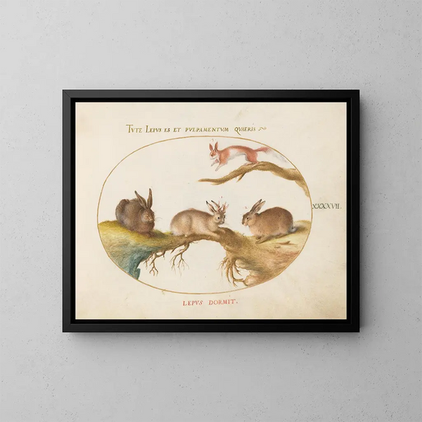 Ein Hase, ein Jackalope, ein Kaninchen und ein gefleckter Eichhörnchen - Joris Hoefnagel — gerahmtes Bild an der Wand