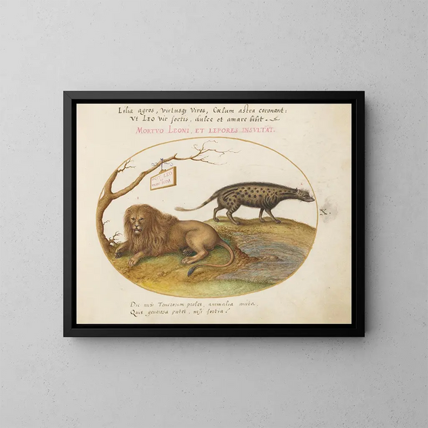 Ein Löwe und eine Zibetkatze - Joris Hoefnagel — gerahmtes Bild an der Wand