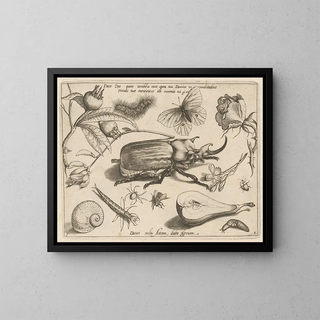 Joris Hoefnagel - Archetypa studiaque patris Georgii Hoefnagelii Pl01.webp