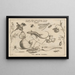Archetypa studiaque patris Georgii Hoefnagelii Pl03 - Joris Hoefnagel — gerahmtes Bild an der Wand