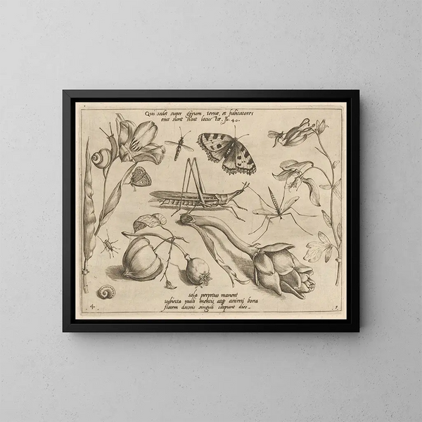 Archétypen und Studien des Vaters Georgius Hoefnagel - Joris Hoefnagel — gerahmtes Bild an der Wand