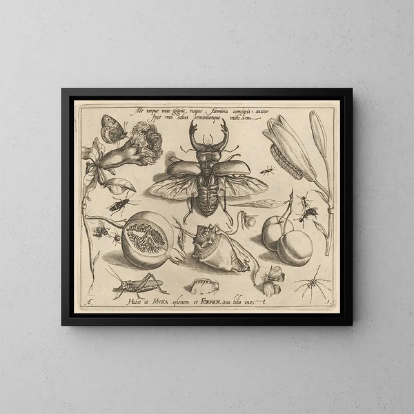 Archétypen und Studien des Vaters Georgius Hoefnagel - Joris Hoefnagel — gerahmtes Bild an der Wand