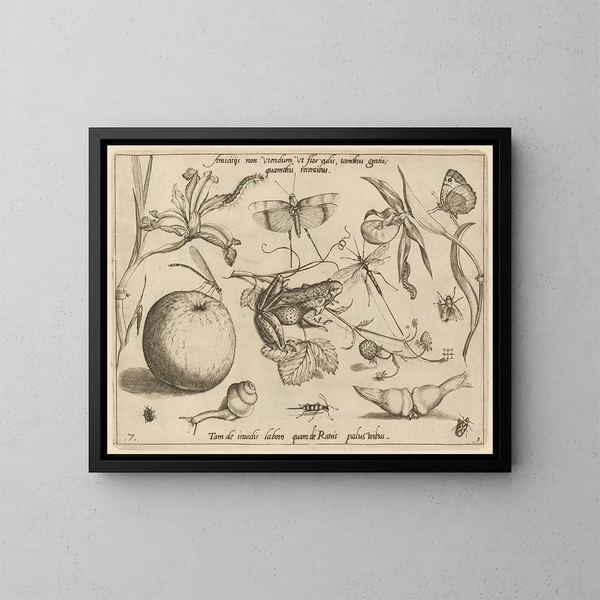 Archétypen und Studien des Vaters Georgius Hoefnagel - Joris Hoefnagel — gerahmtes Bild an der Wand