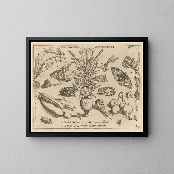 Archétypen und Studien des Vaters Georgius Hoefnagel - Joris Hoefnagel — gerahmtes Bild an der Wand