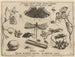 Archétypen und Studien des Vaters Georgius Hoefnagel Pl24 - Joris Hoefnagel — Ansicht des Kunstwerks
