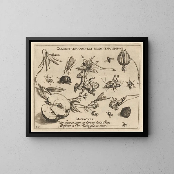 Archétypen und Studien des Vaters Georgius Hoefnagel Pl27 - Joris Hoefnagel — gerahmtes Bild an der Wand