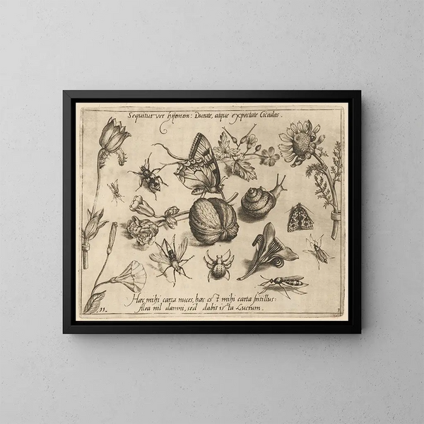 Archétypen und Studien des Vaters Georgius Hoefnagel Pl28 - Joris Hoefnagel — gerahmtes Bild an der Wand