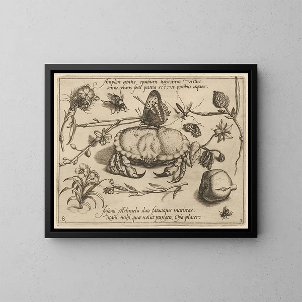 Archétypen und Studien des Vaters Georgius Hoefnagel - Joris Hoefnagel — gerahmtes Bild an der Wand
