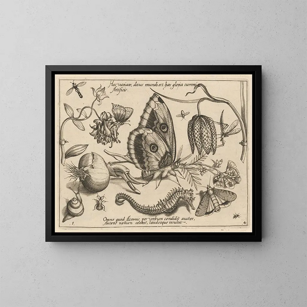 Archétypen und Studien des Vaters Georgius Hoefnagel - Joris Hoefnagel — gerahmtes Bild an der Wand