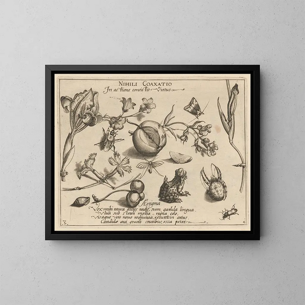 Archétypen und Studien des Vaters Georgius Hoefnagel - Joris Hoefnagel — gerahmtes Bild an der Wand