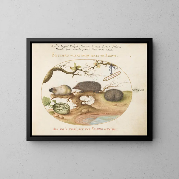 Schweinchen und Igel mit Melone und Haselnüssen - Joris Hoefnagel — gerahmtes Bild an der Wand