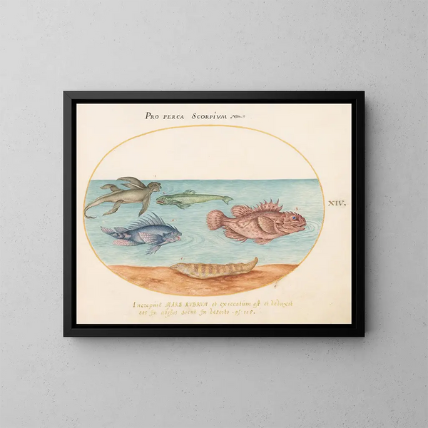 Platinen-Gemälde 14 Ein Meerschweinchen, zwei Skorpionfische und zwei andere Fische - Joris Hoefnagel — gerahmtes Bild an der Wand