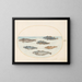Planche 15 Sechs Fische asellorum Cod - Joris Hoefnagel — gerahmtes Bild an der Wand