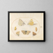 Planche 16: Papillons noir veiné, jaune nuageux, noir à queue, argus géranium et bleu commun avec deux chrysalides - Joris Hoefnagel — gerahmtes Bild an der Wand