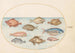 Planche 18 Schweinsfisch, Rasierfisch, Butterfisch, ein Steinbutt und andere Fische - Joris Hoefnagel — Ansicht des Kunstwerks
