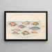 Planche 18 Schweinsfisch, Rasierfisch, Butterfisch, ein Steinbutt und andere Fische - Joris Hoefnagel — gerahmtes Bild an der Wand