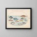 Planche 23: Dorade et autres poissons - Joris Hoefnagel — gerahmtes Bild an der Wand