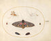 Platinen-Gemälde 27 Ein Sphinx mit Augen, zwei Chrysaliden und anderen Insekten - Joris Hoefnagel — Ansicht des Kunstwerks