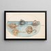 Planche 29, Raie Homelyn und vier weitere Rochen oder Rochen - Joris Hoefnagel — gerahmtes Bild an der Wand