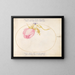 Platine 29 Rose rose et bouton de rose - Joris Hoefnagel — gerahmtes Bild an der Wand