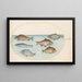 Planche 37 Sechs Fische, darunter ein Karpfen - Joris Hoefnagel — gerahmtes Bild an der Wand