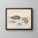 Planche 3: Ein Mors, ein Oktopus mit neun Beinen und ein Mondfisch - Joris Hoefnagel — gerahmtes Bild an der Wand