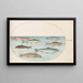 Planche 40 Lachs, Forelle und Süßwasserfische - Joris Hoefnagel — gerahmtes Bild an der Wand