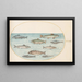 Planche 42, Neue Fische - Joris Hoefnagel — gerahmtes Bild an der Wand