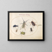 Planche 43: Scarabée musqué, scarabée huileux, scarabée de la tanaisie, cafard, punaise à pattes foliacées et autres insectes - Joris Hoefnagel — gerahmtes Bild an der Wand