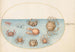 Planche 47, Neuf Crabes - Joris Hoefnagel — Ansicht des Kunstwerks